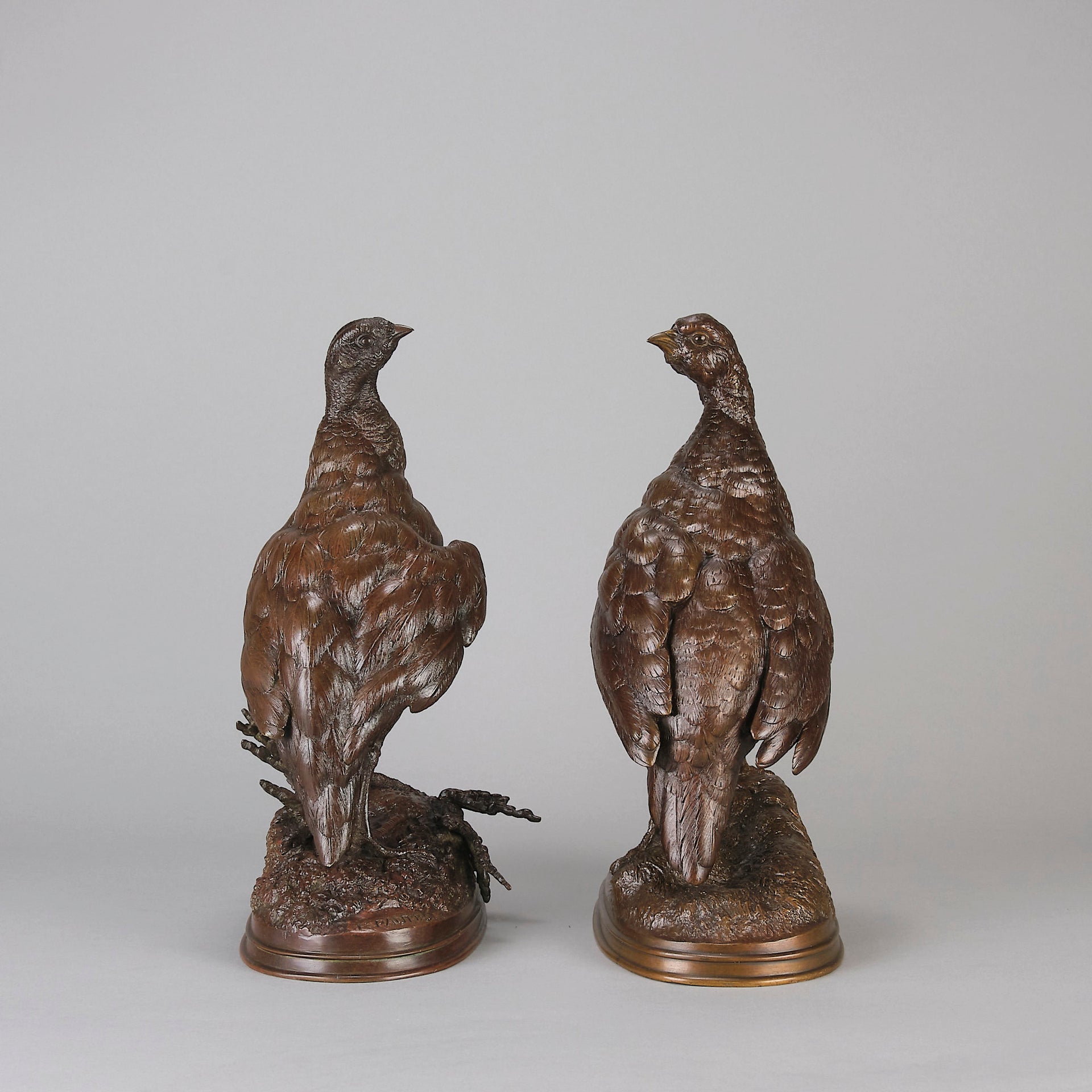 Pautrot bronze grouse