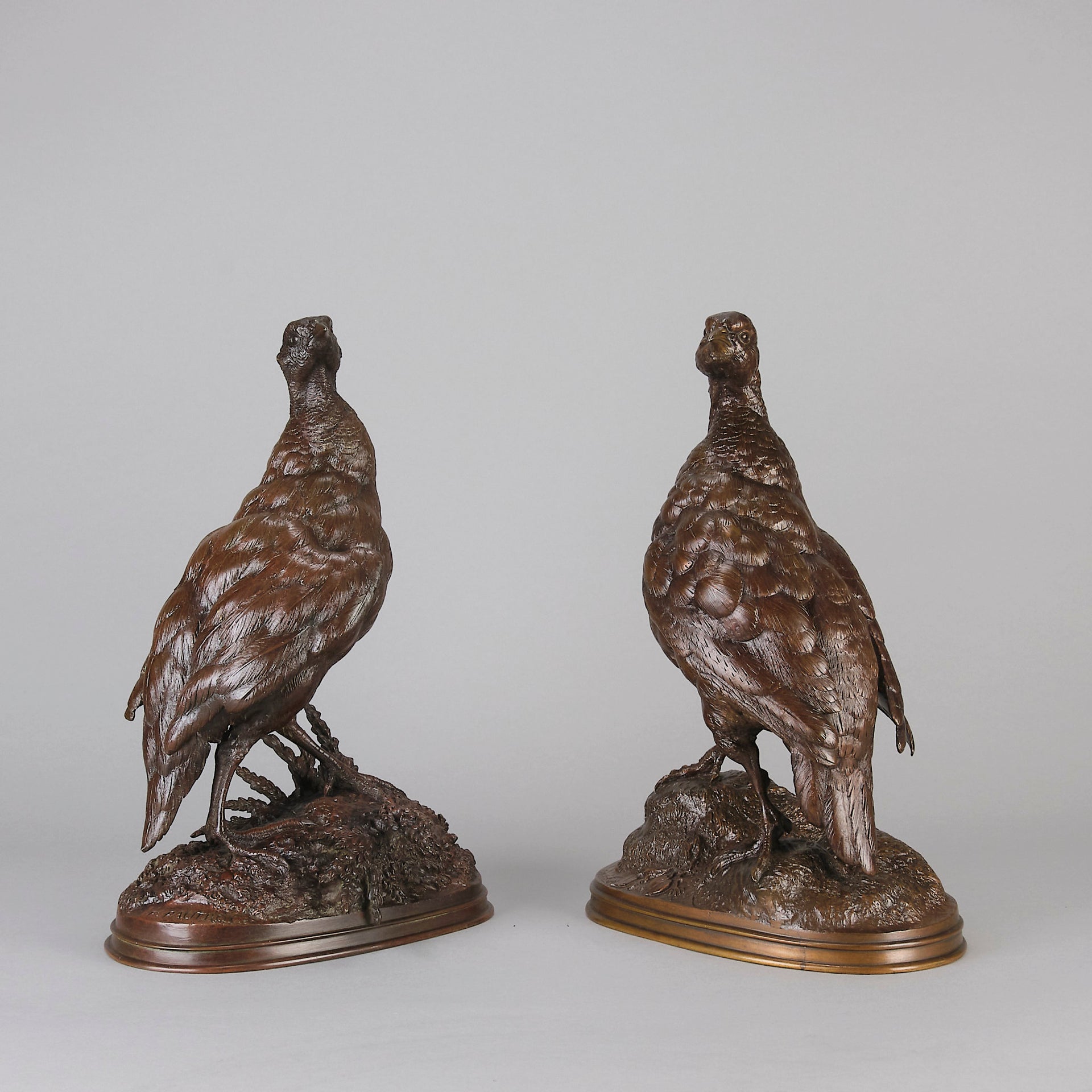 Pautrot bronze grouse