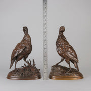 Pautrot bronze grouse
