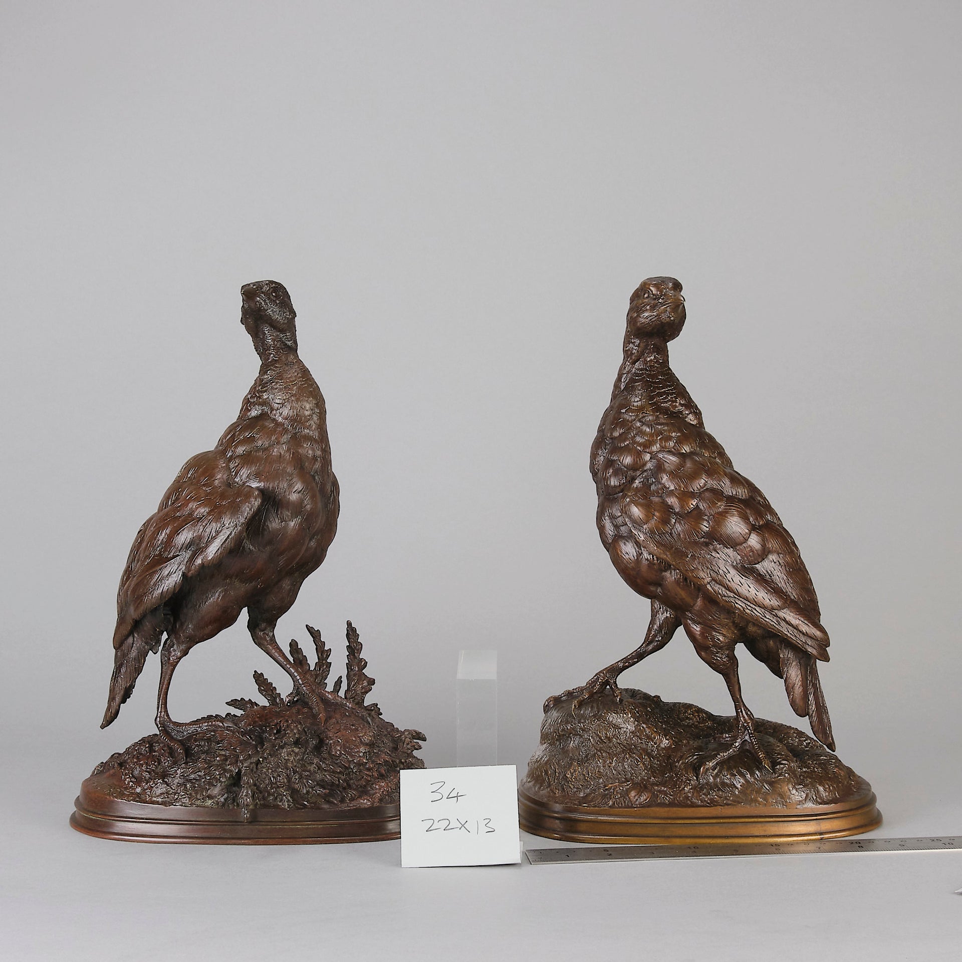 Pautrot bronze grouse