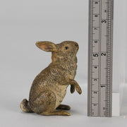 Franz Bergman Bunny - Austrian Bronze for Sale - Hickmet Fine Arts