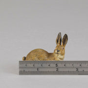 Bergman Rabbit - Austrian Bergman Bronze - Hickmet Fine Arts