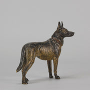 Bergman Alsatian - Bergman Bronze - Hickmet Fine Arts