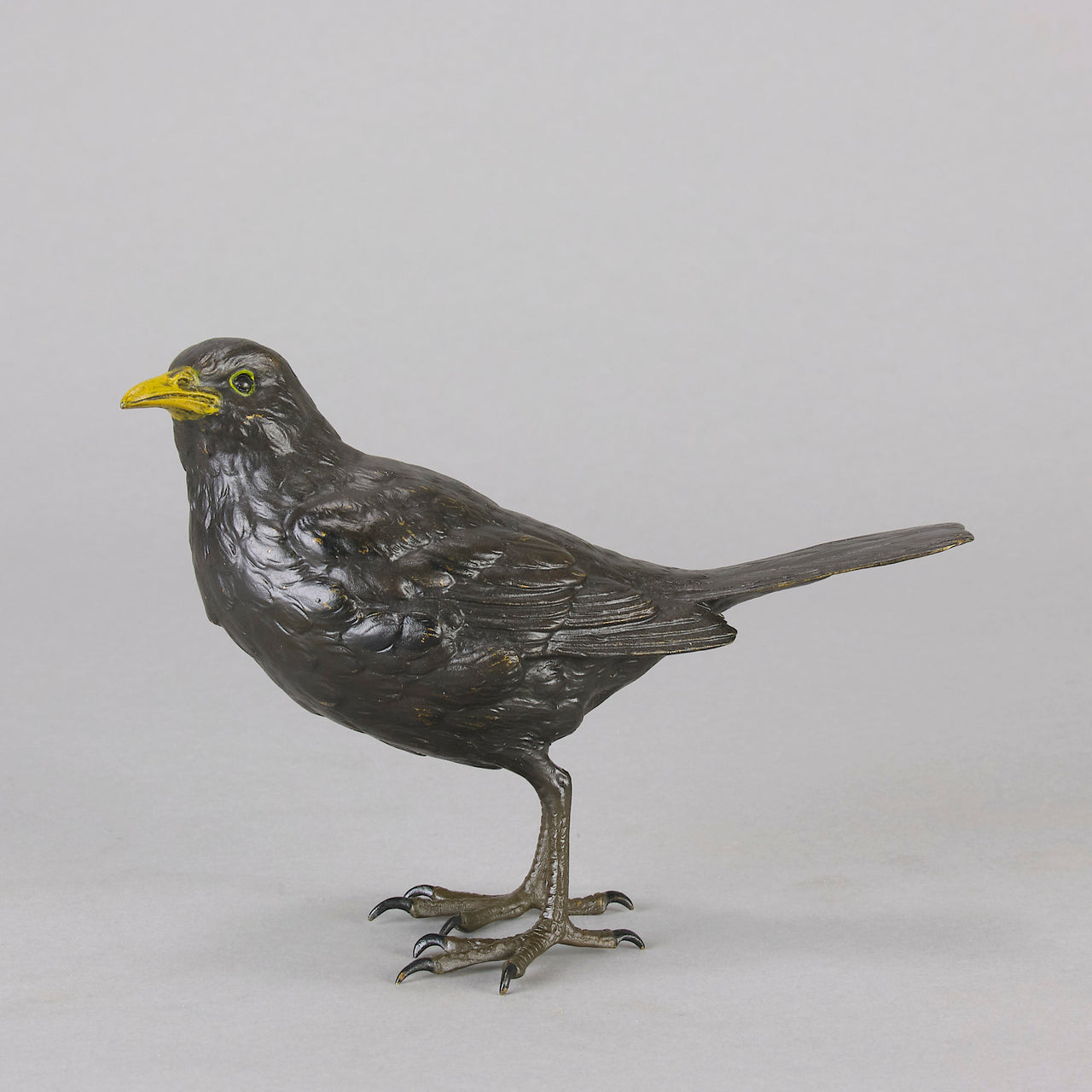 Bergman bronze blackbird