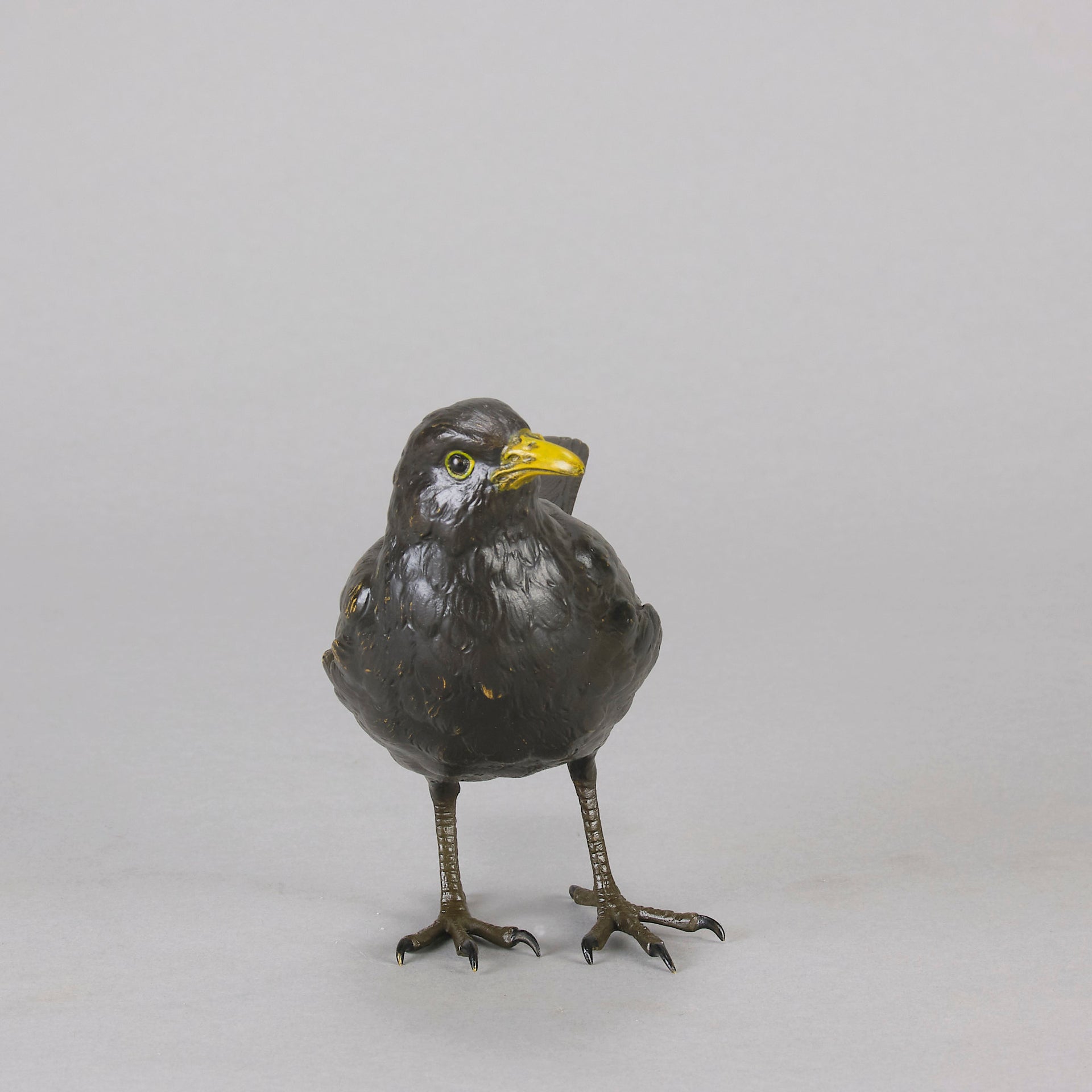 Bergman bronze blackbird