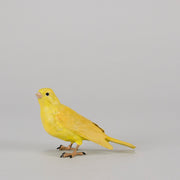 Bergman Canary - Bergman Bronze - Hickmet Fine Arts