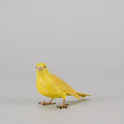 Bergman Canary - Bergman Bronze - Hickmet Fine Arts