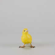 Bergman Canary - Bergman Bronze - Hickmet Fine Arts