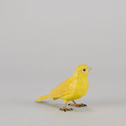 Bergman Canary - Bergman Bronze - Hickmet Fine Arts