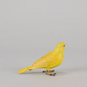 Bergman Canary - Bergman Bronze - Hickmet Fine Arts