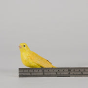 Bergman Canary - Bergman Bronze - Hickmet Fine Arts