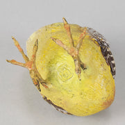 Franz Bergman Chick - Austrian Bronze - Hickmet Fine Arts 