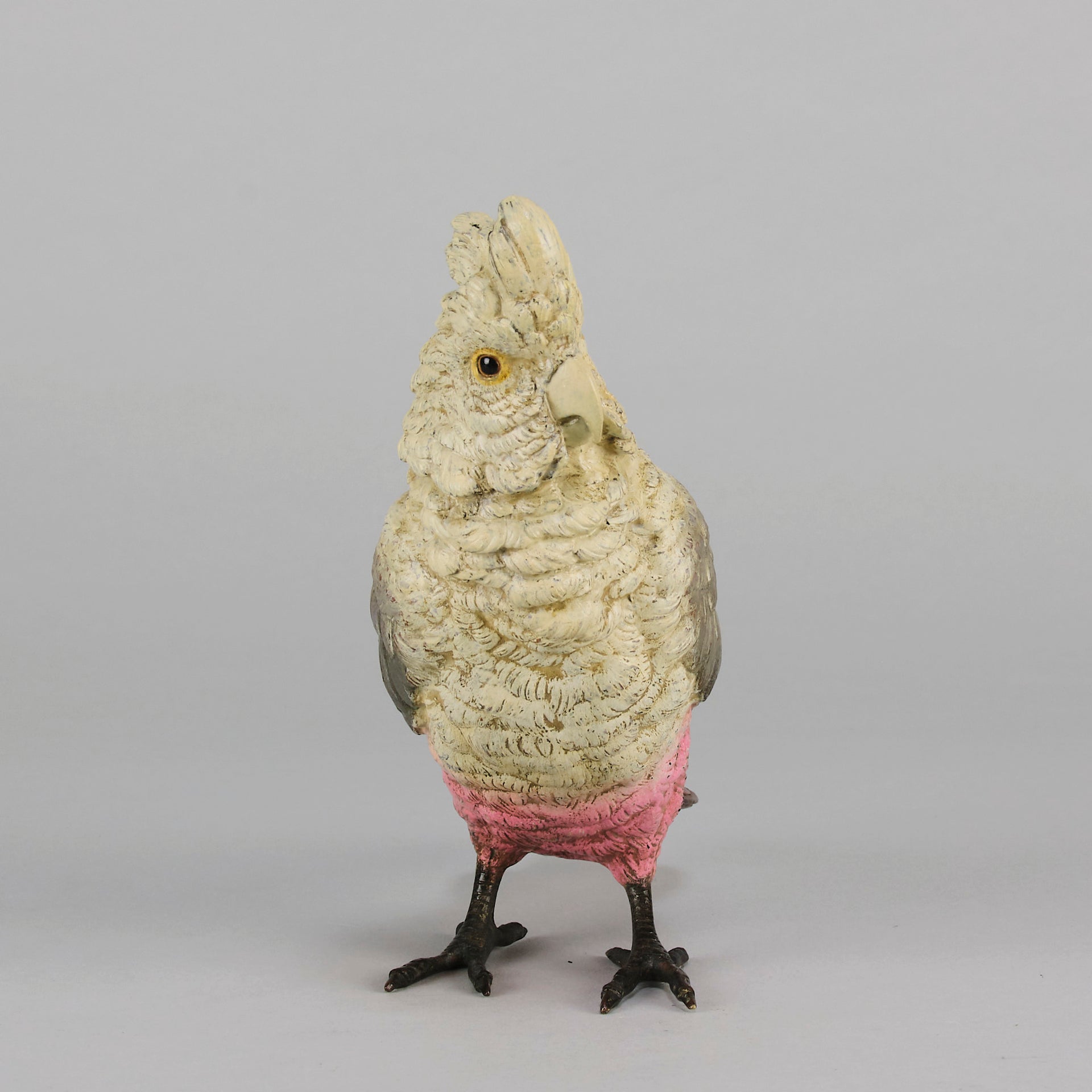 Bergman bronze cockatoo