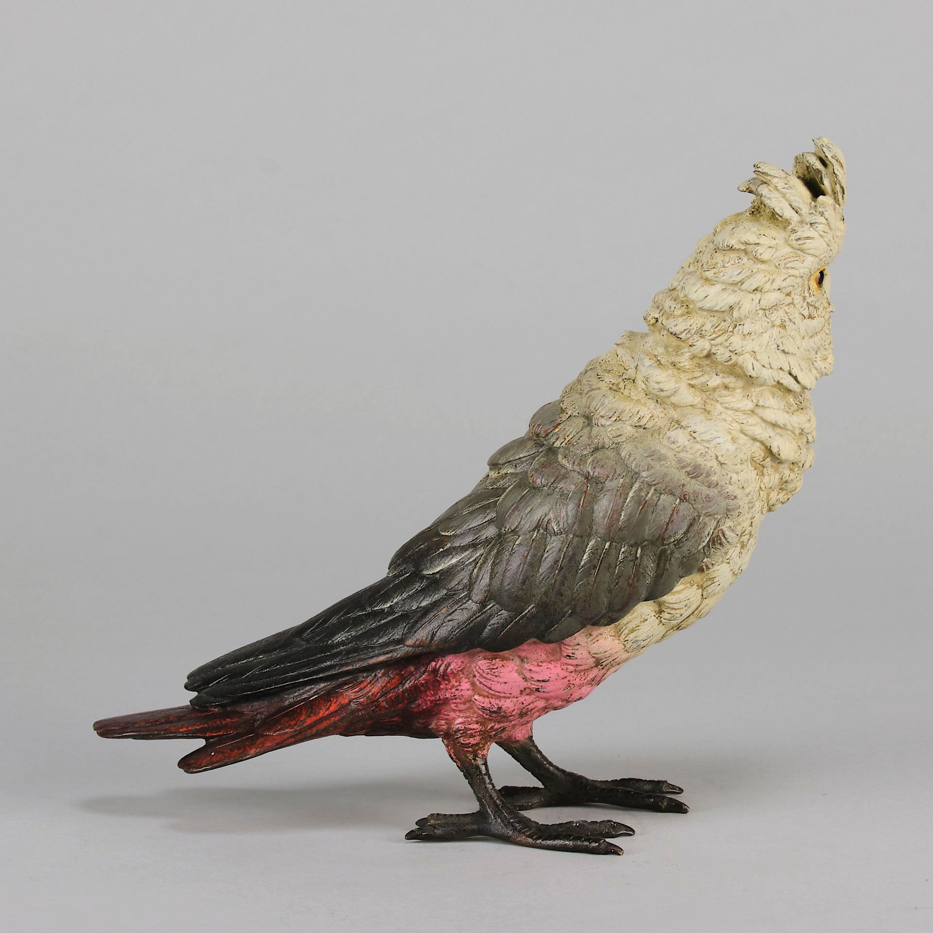 Bergman bronze cockatoo