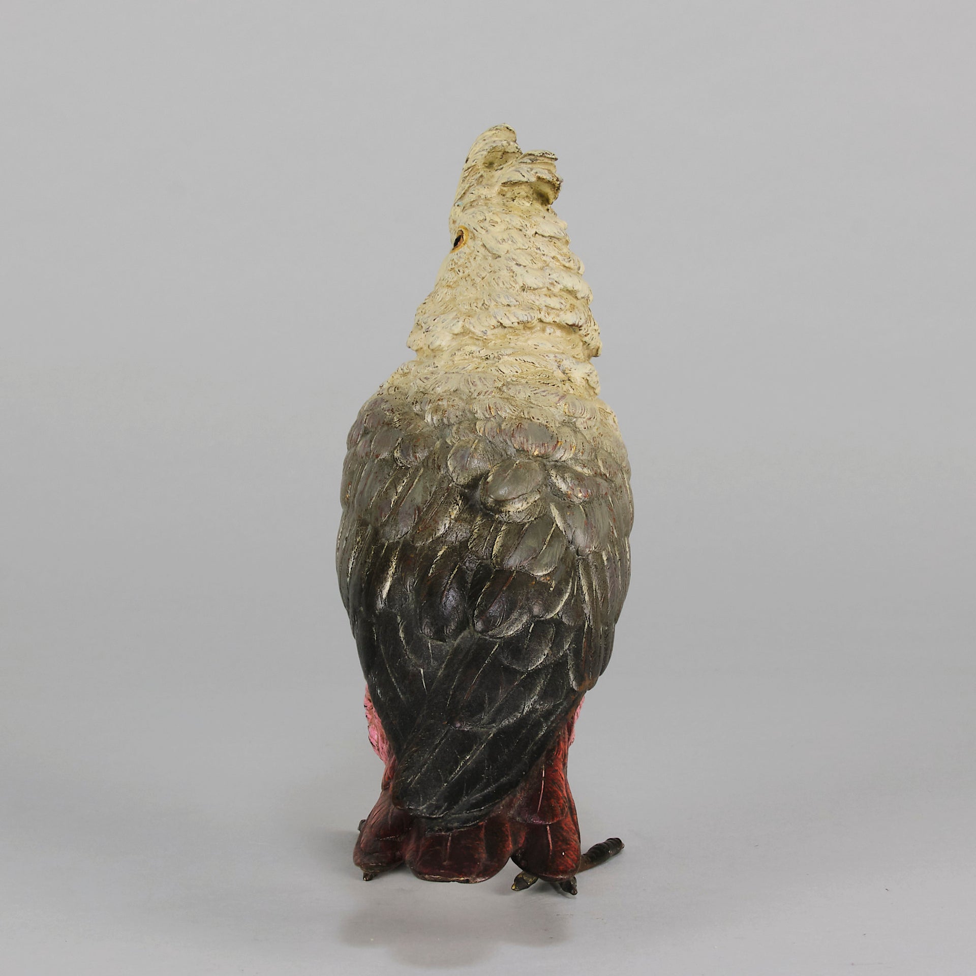 Bergman bronze cockatoo