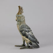 Bergman Cockatoo  - Bergman Austrian Bronze - Hickmet Fine Arts