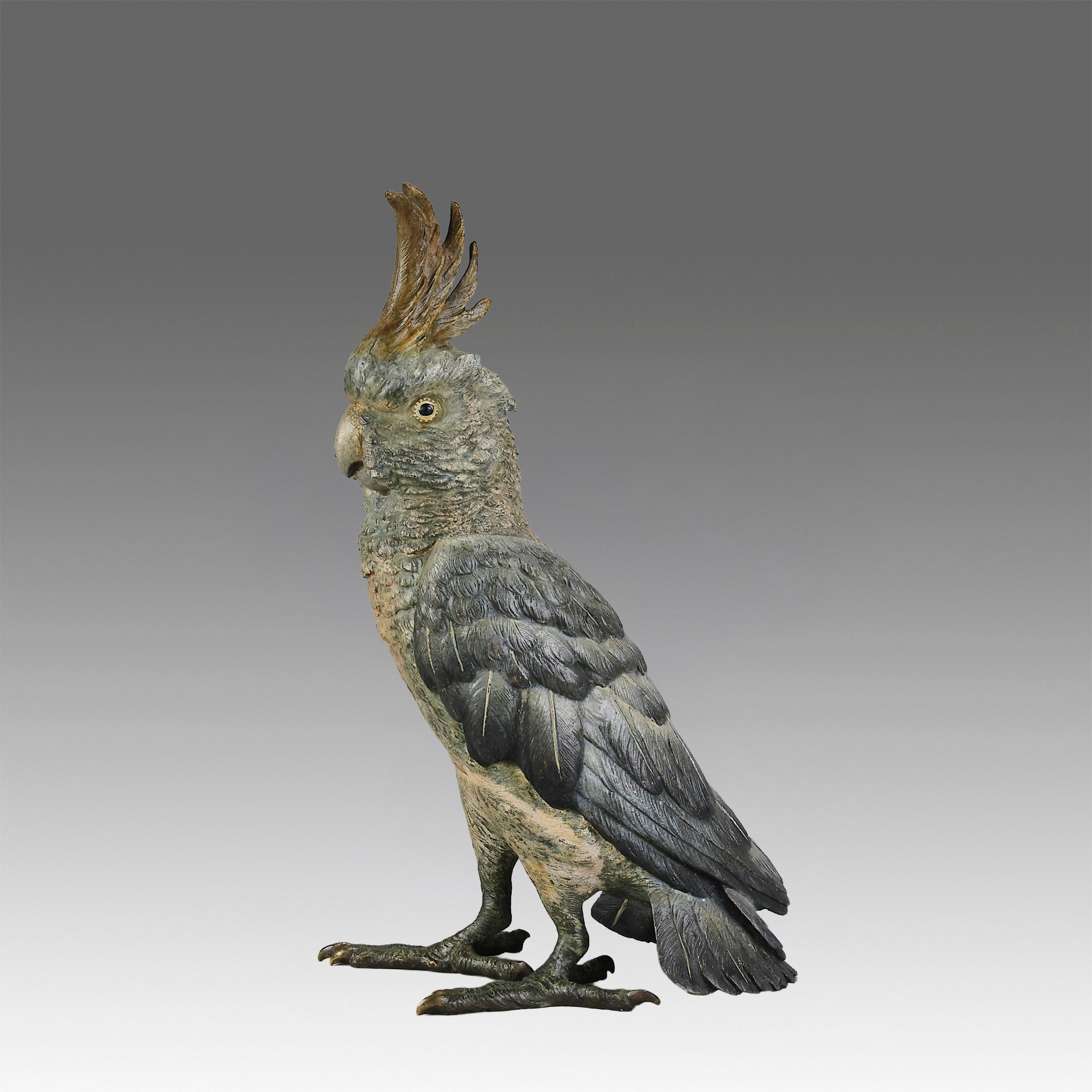 Bergman Cockatoo  - Bergman Austrian Bronze - Hickmet Fine Arts