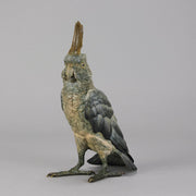 Bergman Cockatoo  - Bergman Austrian Bronze - Hickmet Fine Arts