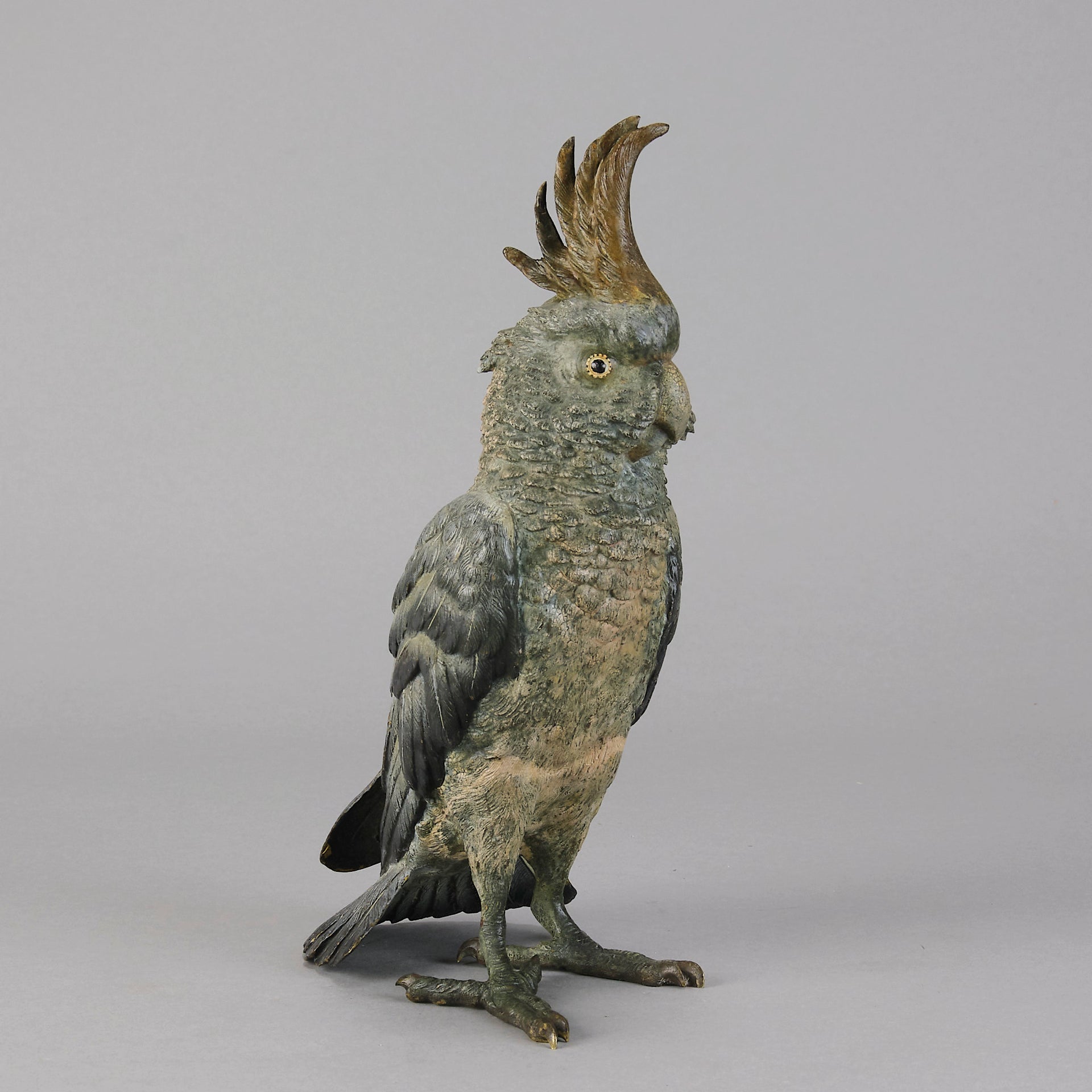 Bergman Cockatoo  - Bergman Austrian Bronze - Hickmet Fine Arts