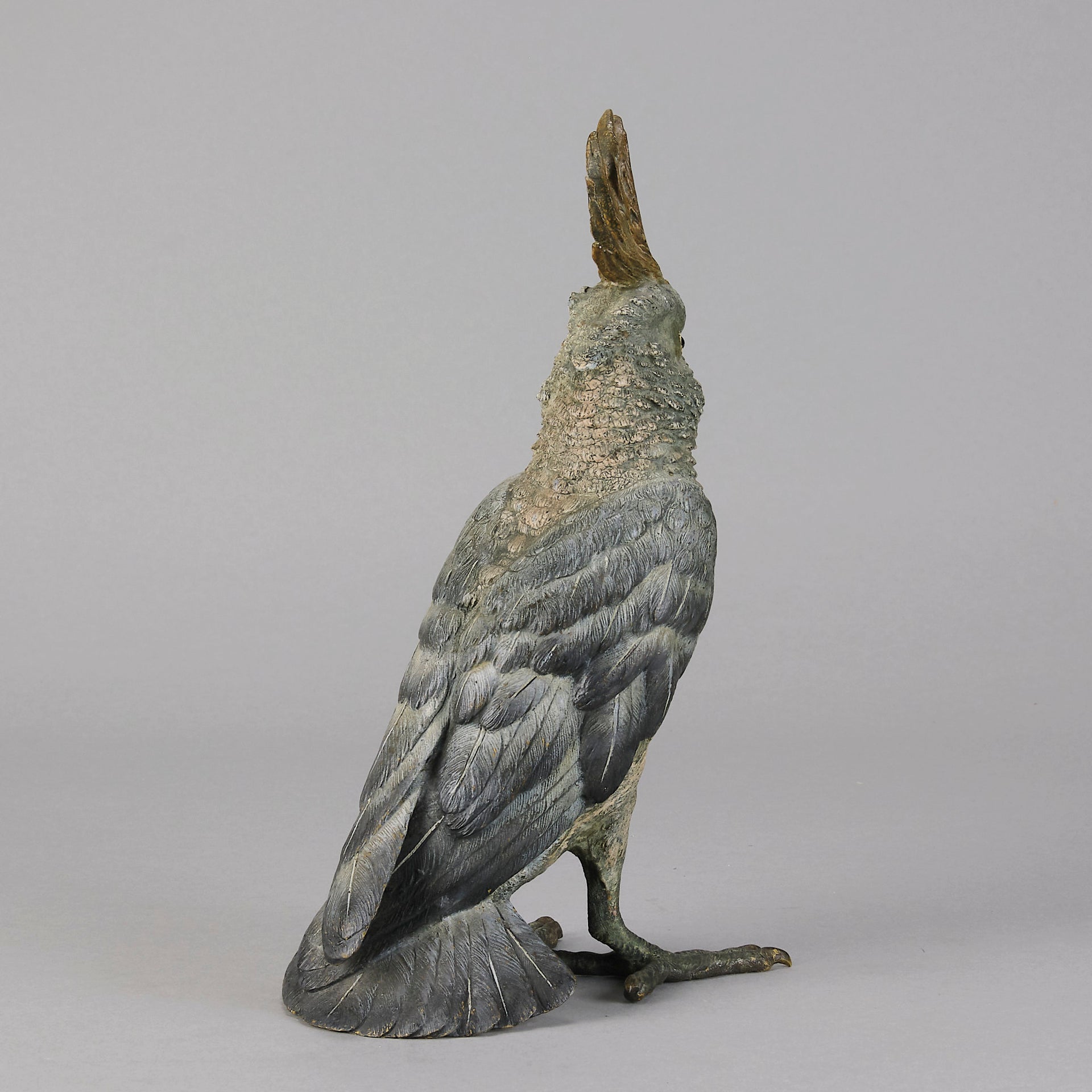 Bergman Cockatoo  - Bergman Austrian Bronze - Hickmet Fine Arts