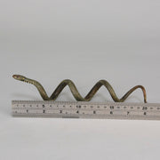 Bergman Snake - Bergman Bronze - Hickmet Fine Arts