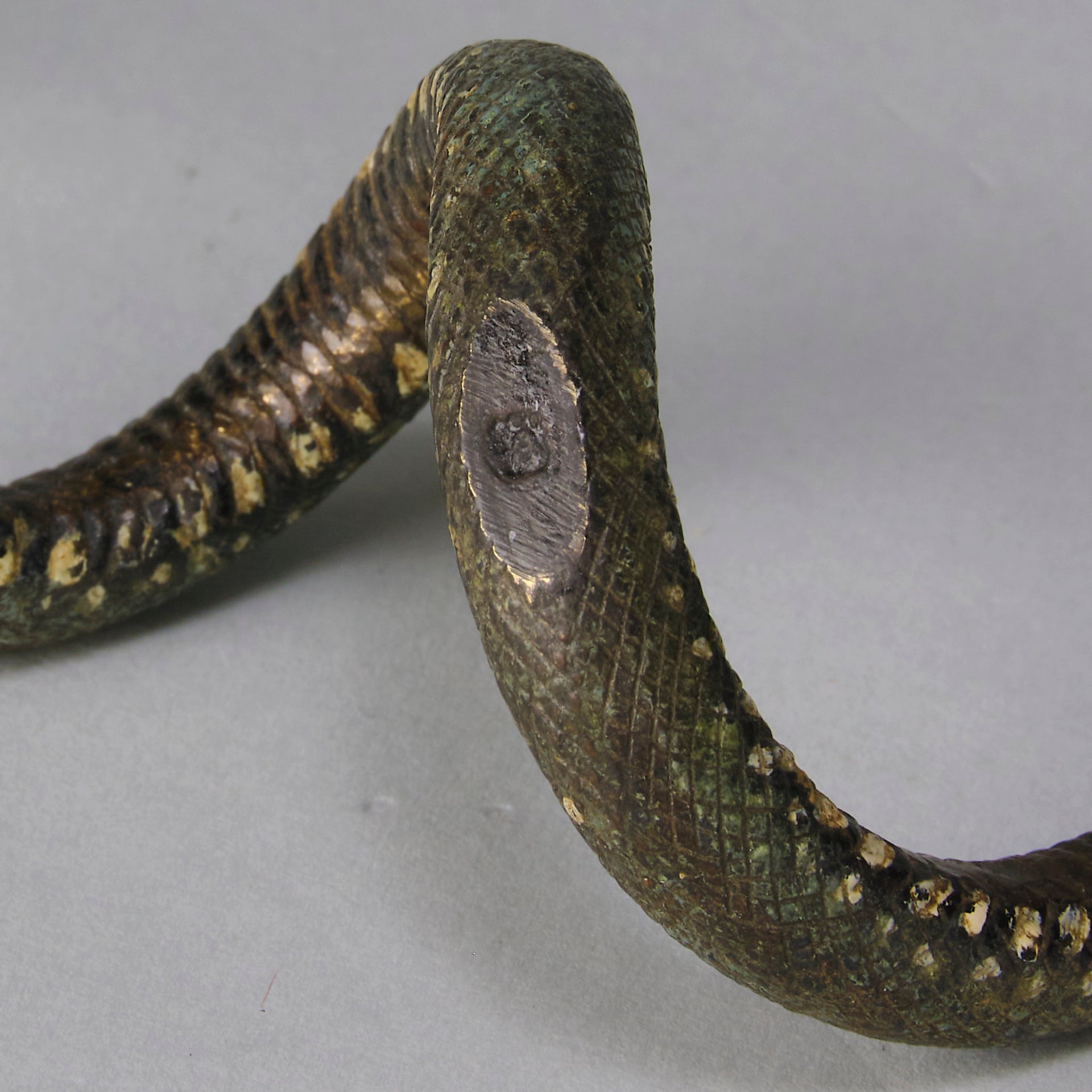 Bergman Snake - Bergman Bronze - Hickmet Fine Arts