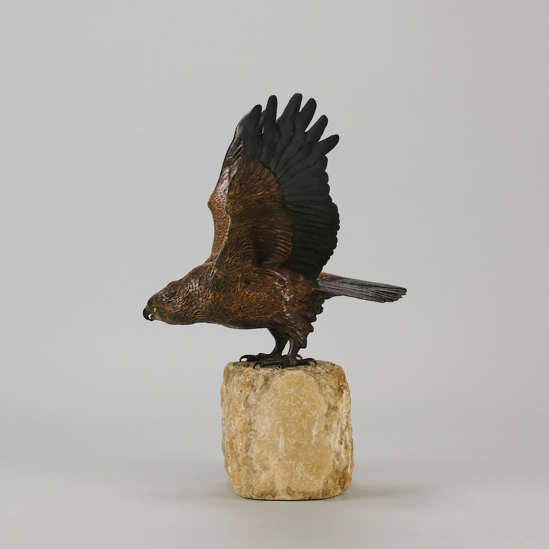 Bergman Eagle - Bergman Bronze - Hickmet Fine Arts