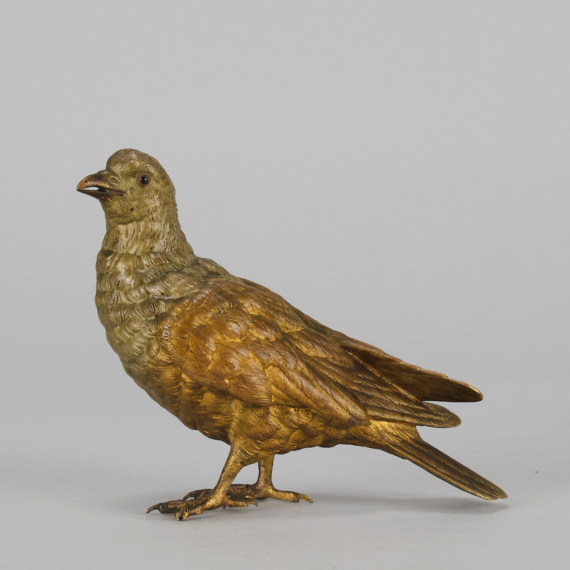 Bergman Pigeon - Bergman Bronze - Hickmet Fine Arts