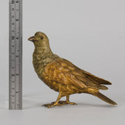 Bergman Pigeon - Bergman Bronze - Hickmet Fine Arts
