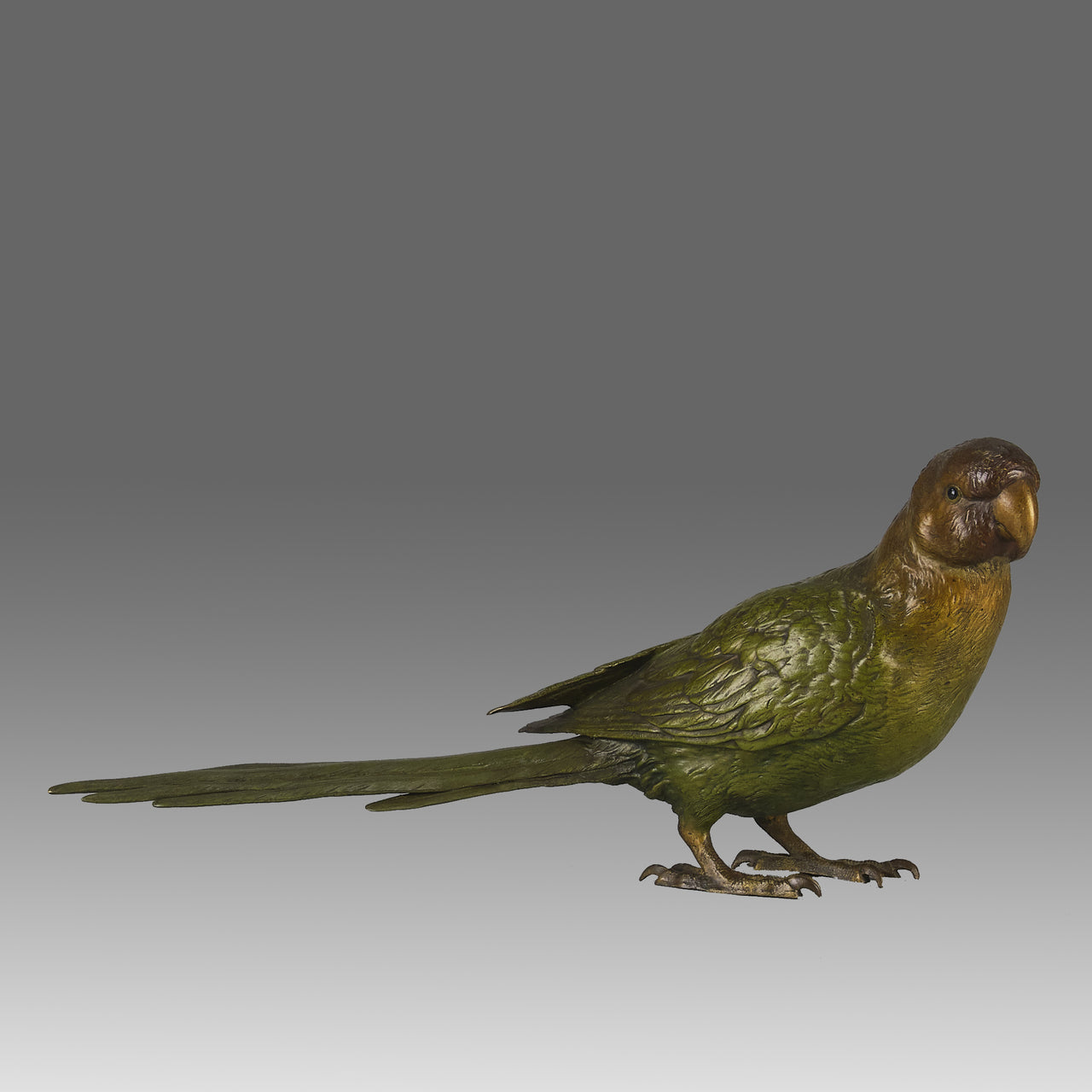 Bergman Parrot - Antique Austrian Bronze - Hickmet Fine Arts