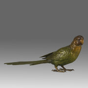 Bergman Parrot - Antique Austrian Bronze - Hickmet Fine Arts