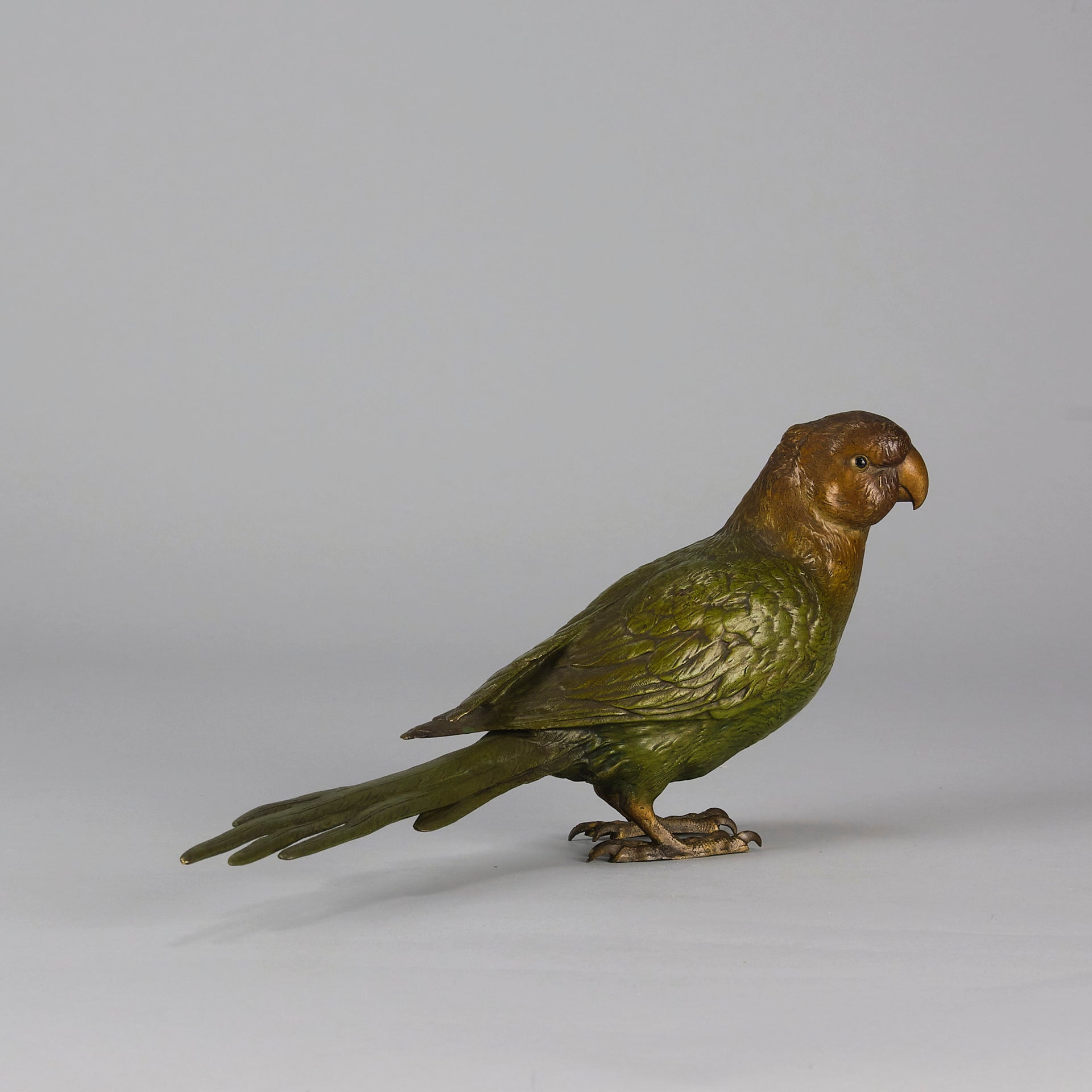 Bergman Parrot - Antique Austrian Bronze - Hickmet Fine Arts