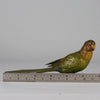 Bergman Parrot - Antique Austrian Bronze - Hickmet Fine Arts
