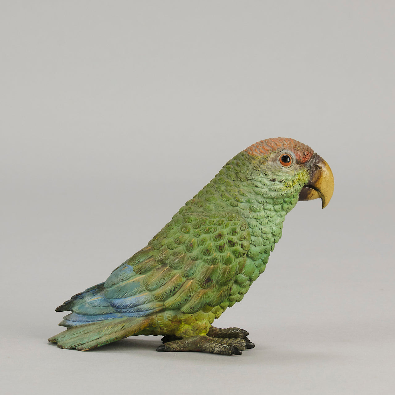 Bergman Parrot - Bergman Bronze - Hickmet Fine Arts