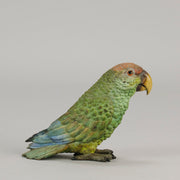 Bergman Parrot - Bergman Bronze - Hickmet Fine Arts