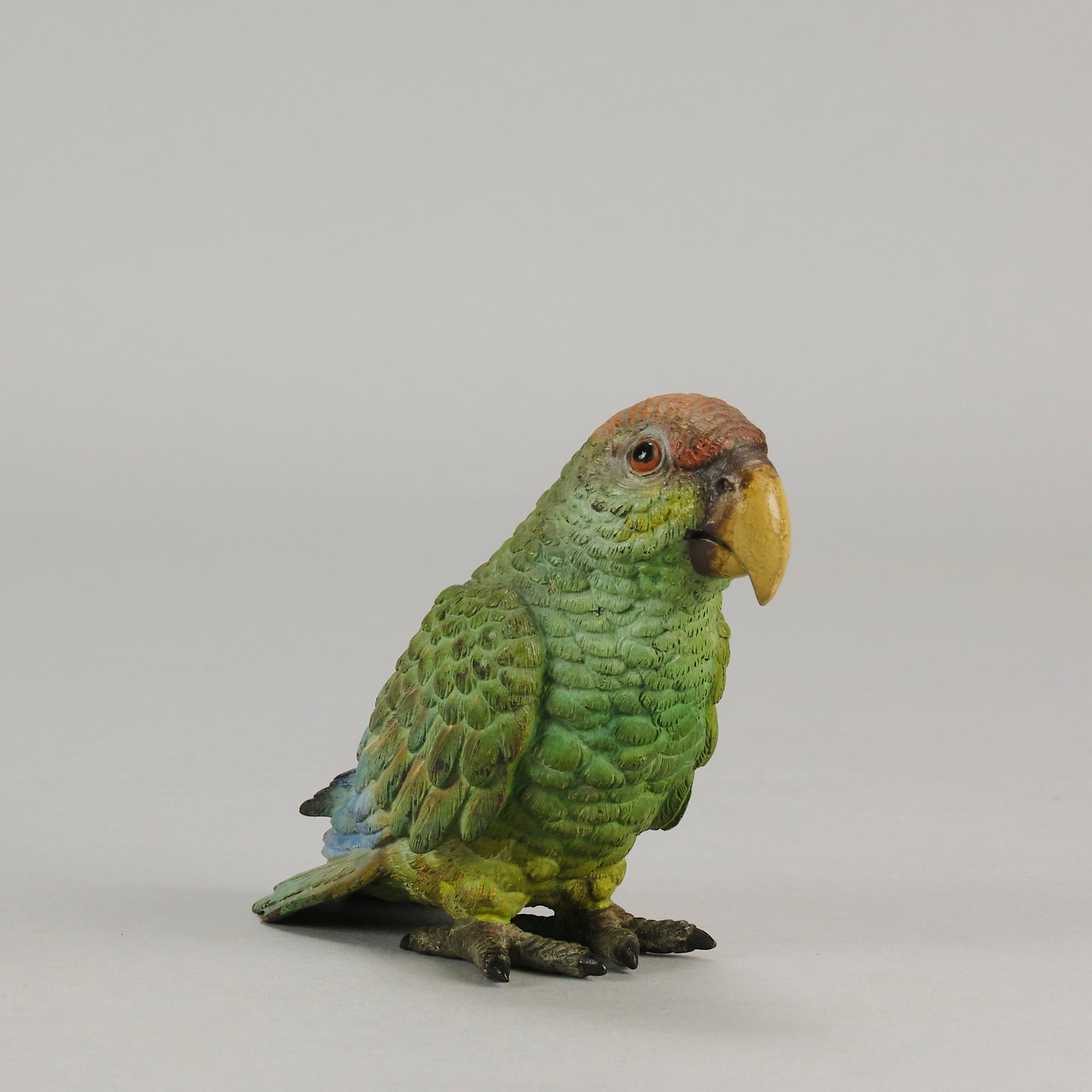 Bergman Parrot - Bergman Bronze - Hickmet Fine Arts