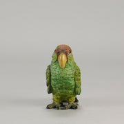 Bergman Parrot - Bergman Bronze - Hickmet Fine Arts
