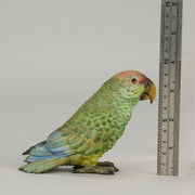 Bergman Parrot - Bergman Bronze - Hickmet Fine Arts