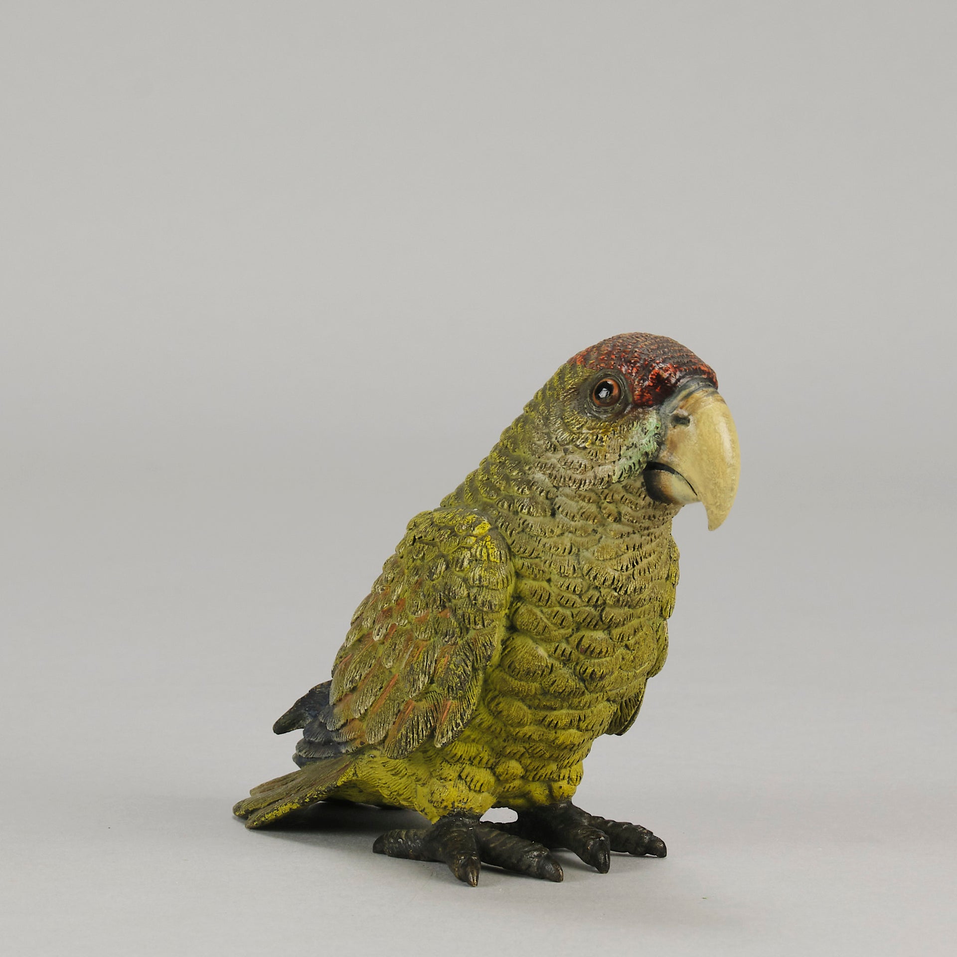 Bergman Green Parrot - Bergman Bronze - Hickmet Fine Arts