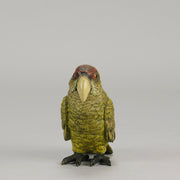 Bergman Green Parrot - Bergman Bronze - Hickmet Fine Arts