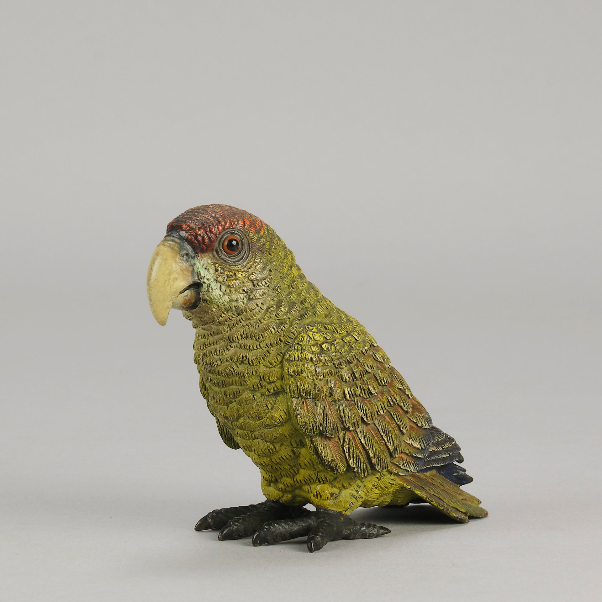 Bergman Green Parrot - Bergman Bronze - Hickmet Fine Arts
