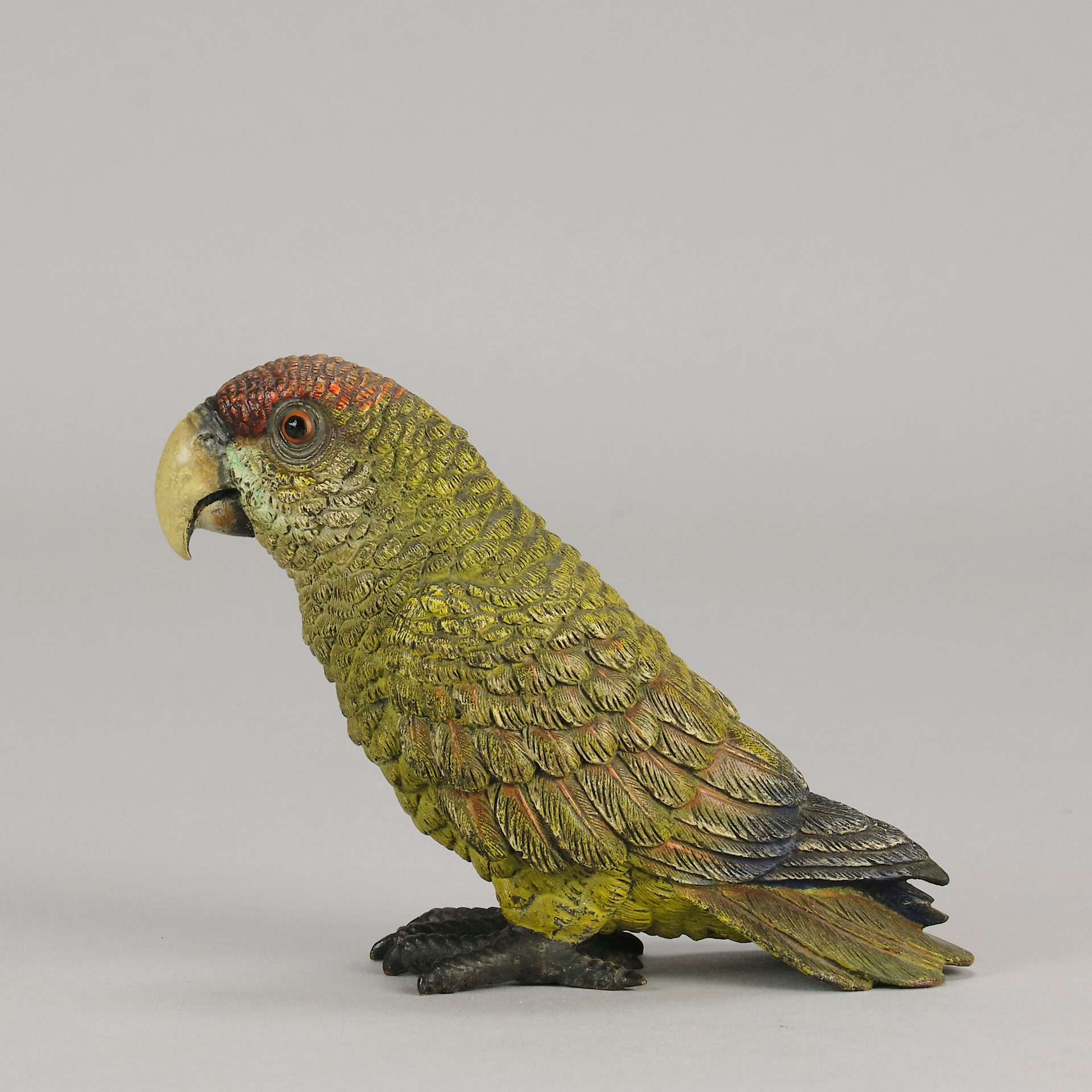 Bergman Green Parrot - Bergman Bronze - Hickmet Fine Arts