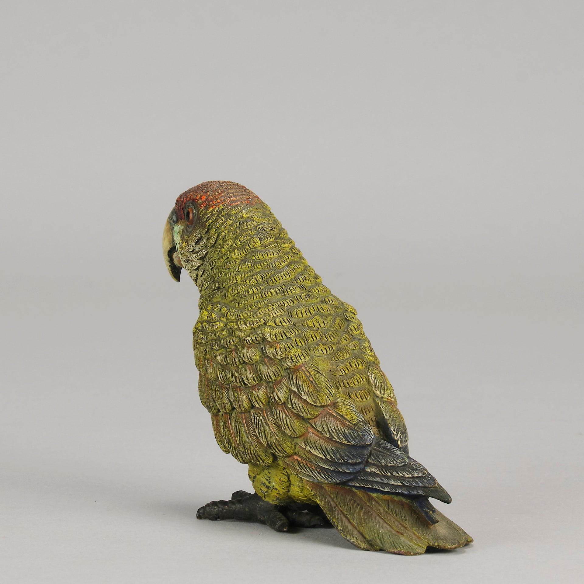 Bergman Green Parrot - Bergman Bronze - Hickmet Fine Arts
