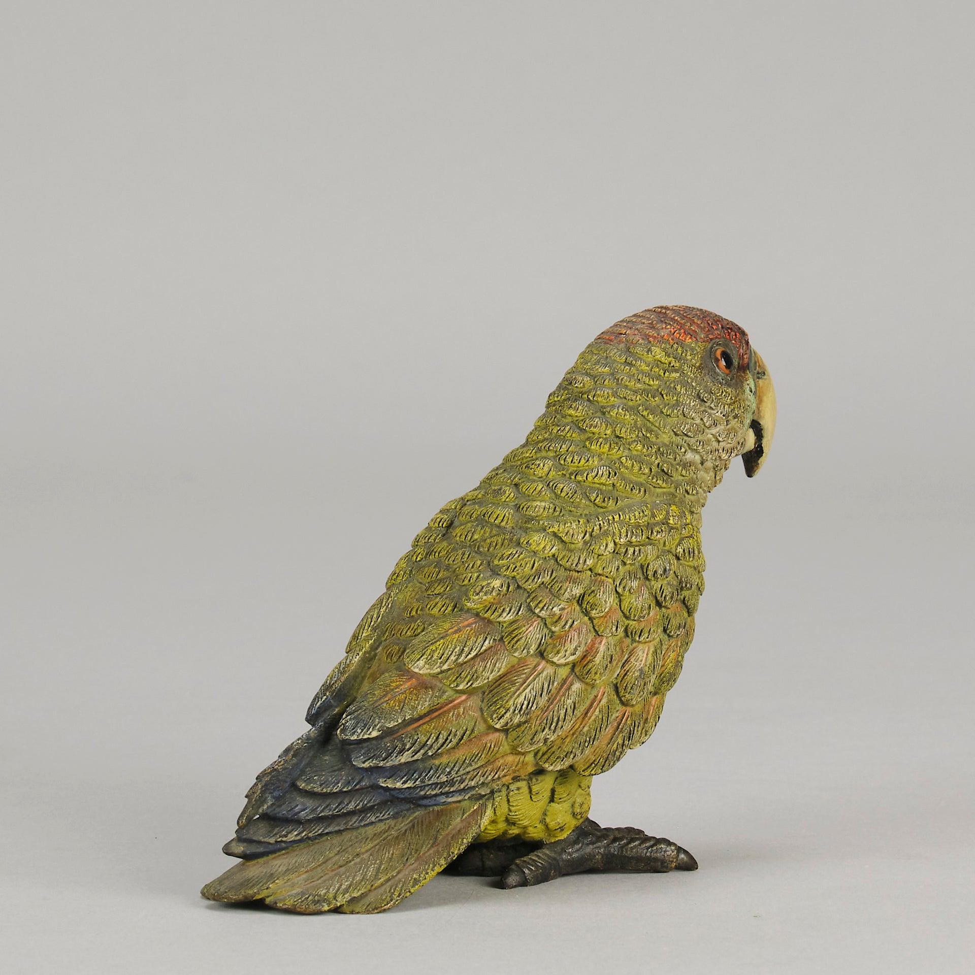 Bergman Green Parrot - Bergman Bronze - Hickmet Fine Arts