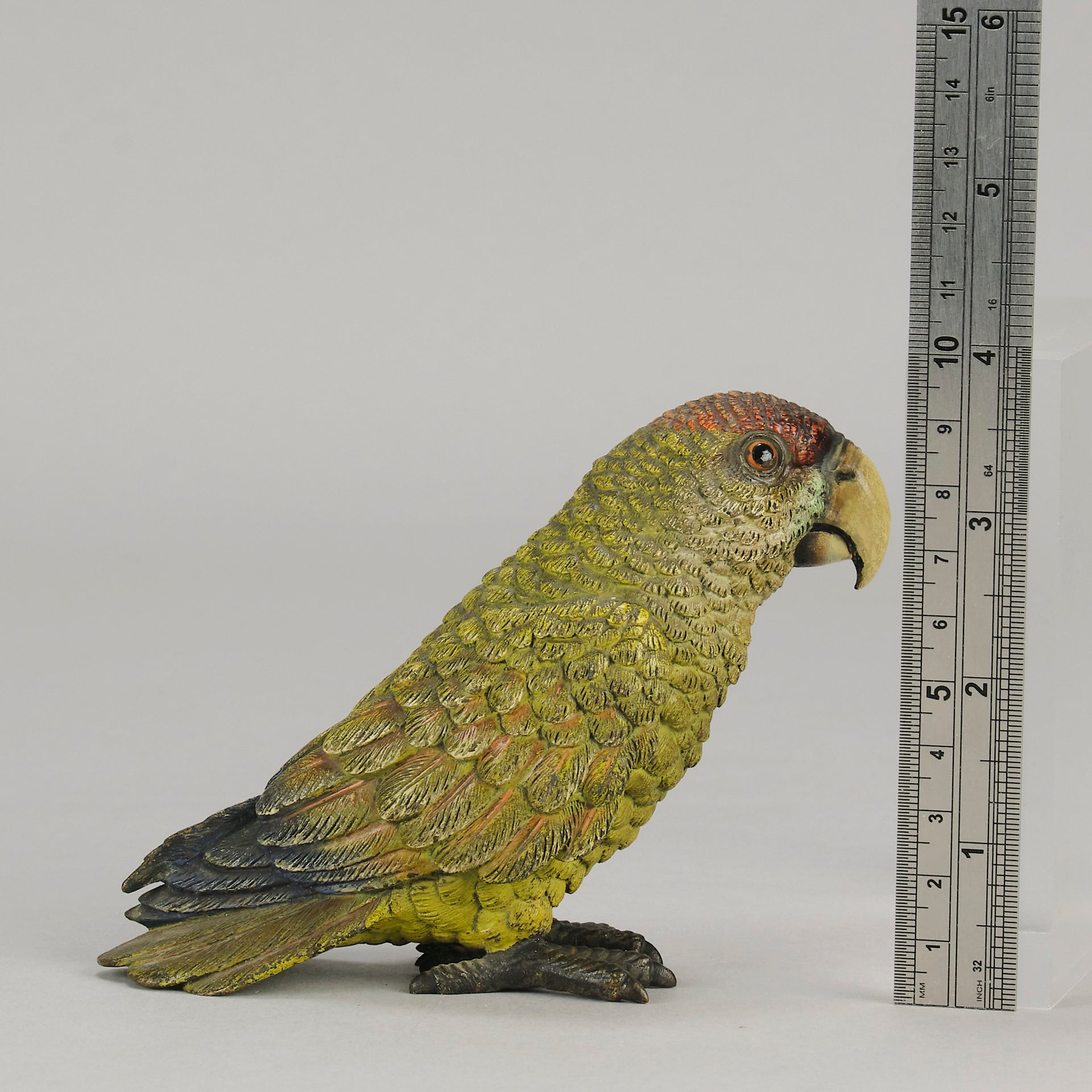 Bergman Green Parrot - Bergman Bronze - Hickmet Fine Arts