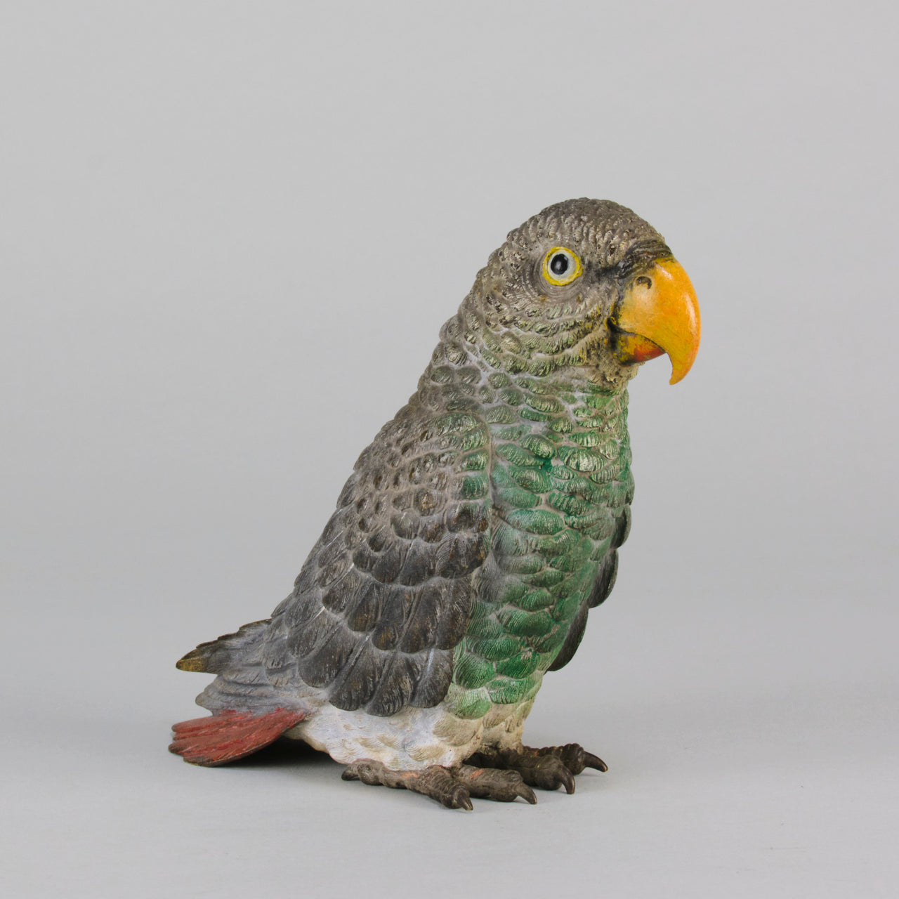 "Grey Parrot" by Franz Bergman