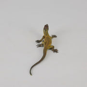 Franz Bergman cold painted bronze lizard