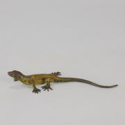 Franz Bergman cold painted bronze lizard
