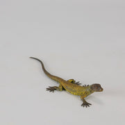 Franz Bergman cold painted bronze lizard