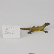 Franz Bergman cold painted bronze lizard